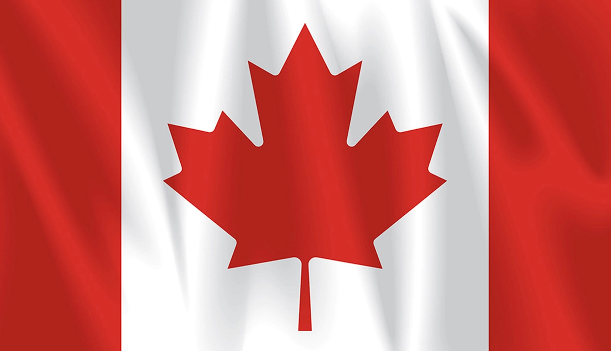 Which country does this flag belong to?
